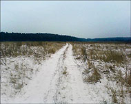 Лыжный поход: пл. Овражки - Устиновка - Строкино - Аксеново - пл. 43 км